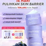 Glad2Glow Blueberry 5% Ceramide Moisturizer Repair Barrier